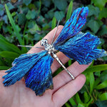 Aura Tourmaline Kyanite Dragonfly