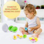 Cognitive Development Geometric Eggs ( 12 Eggs One Set )