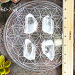 Crystal Quartz Natural Points - By Weight