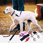 Adjustable Car Dog Leash