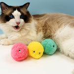 Fluffy Plush Ball Toys