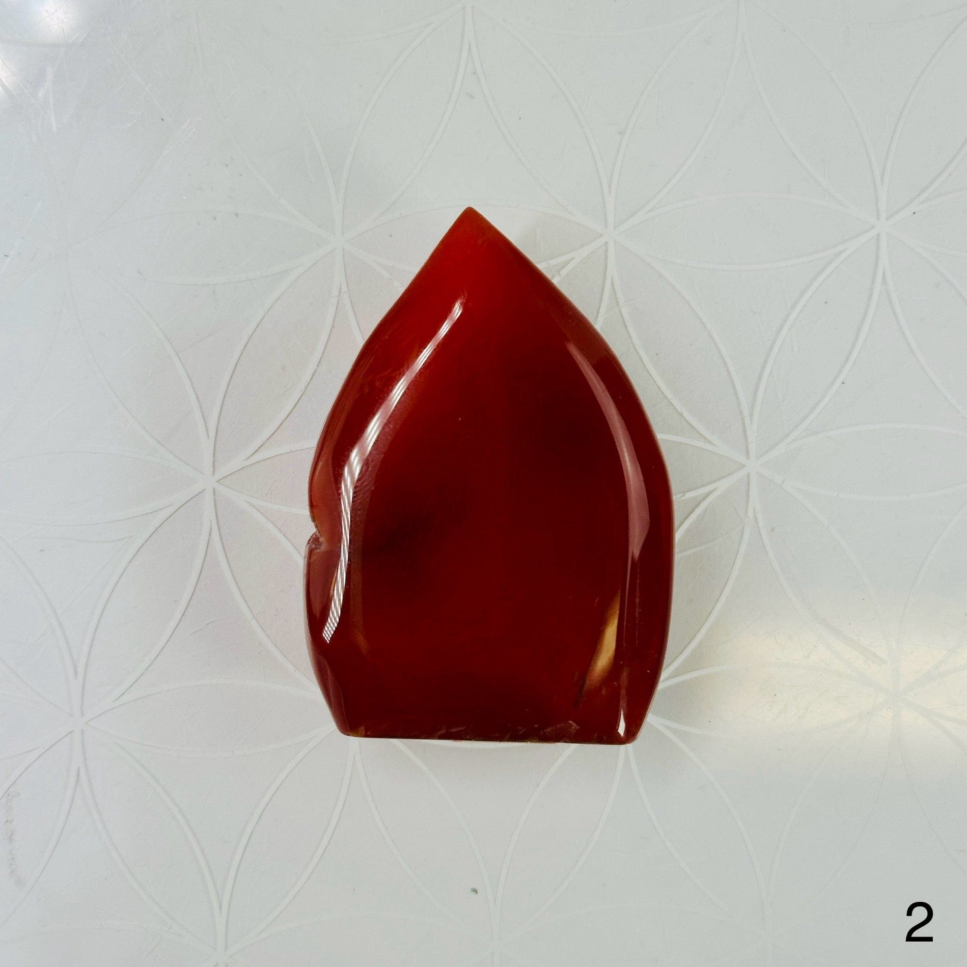 Carnelian Polished Freeform Cut Base - You Choose