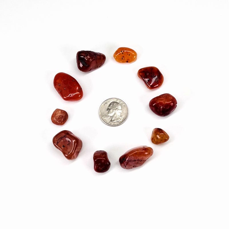 1 lb Bag Carnelian Small Tumbled Stones Choose 1,3,5 Bags (TS-10)