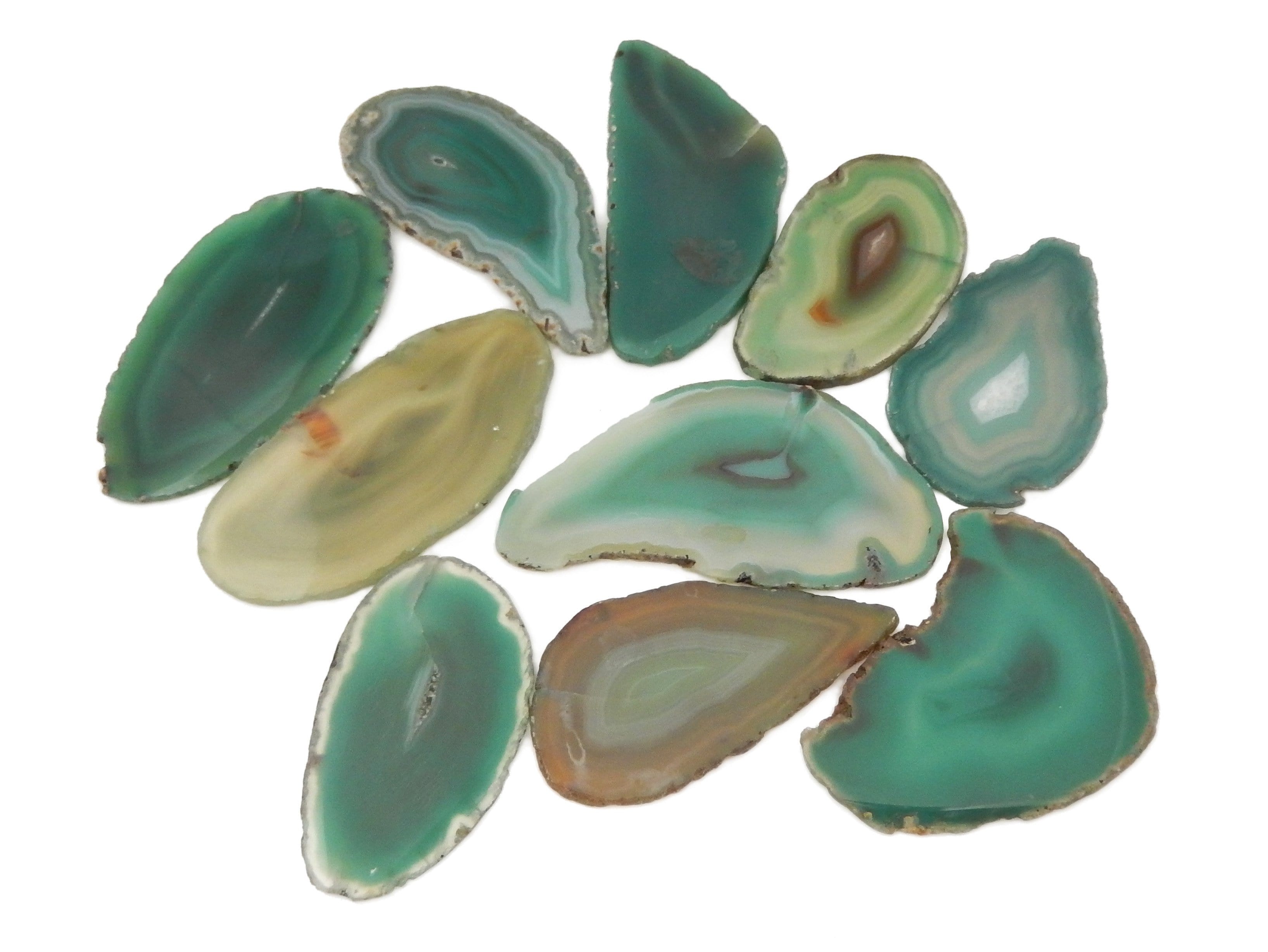 Green Agate Slice - Large Pendant Size - Agate Slices #1 - Great for Jewelry (AGBS)