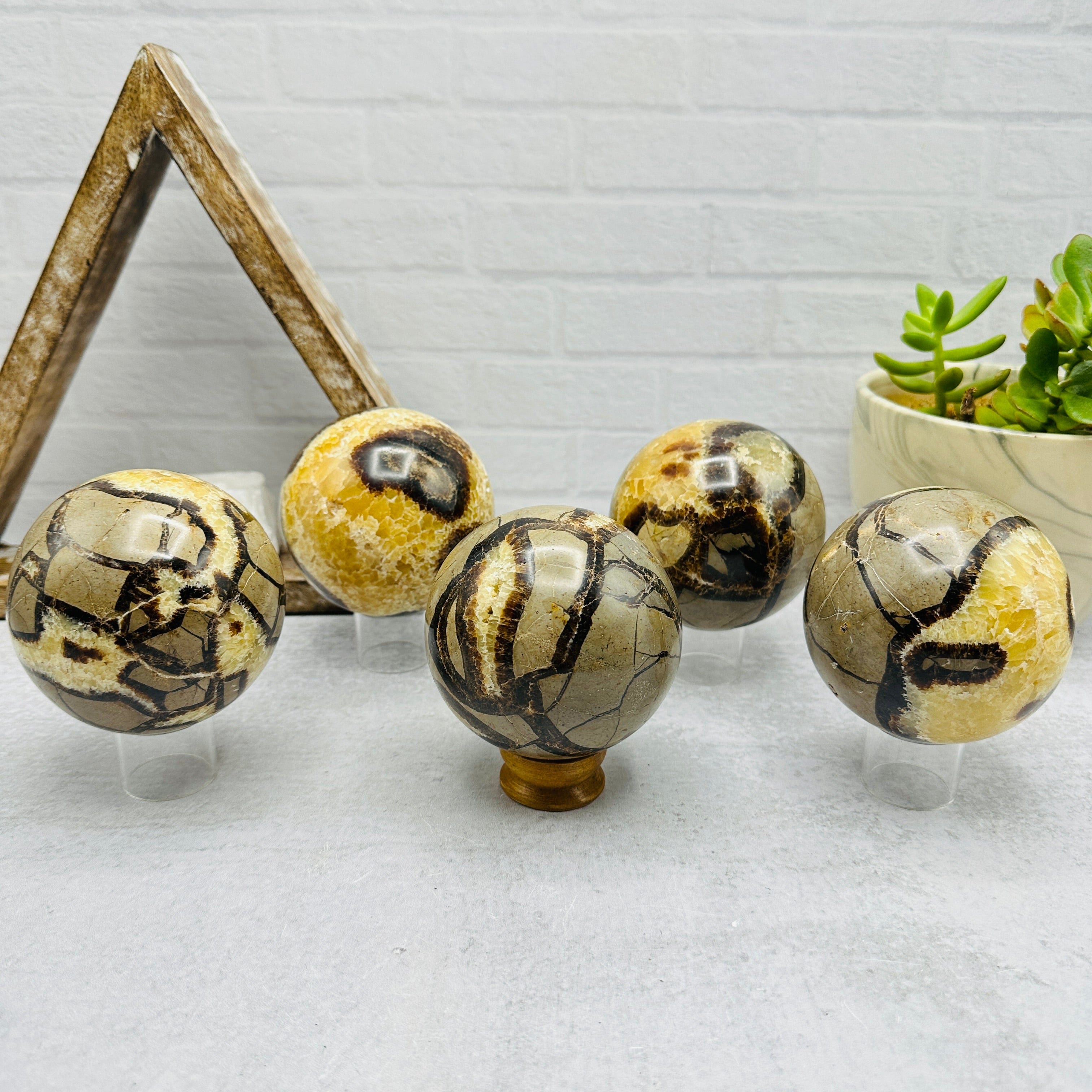 Polished Septarian Sphere - You Choose