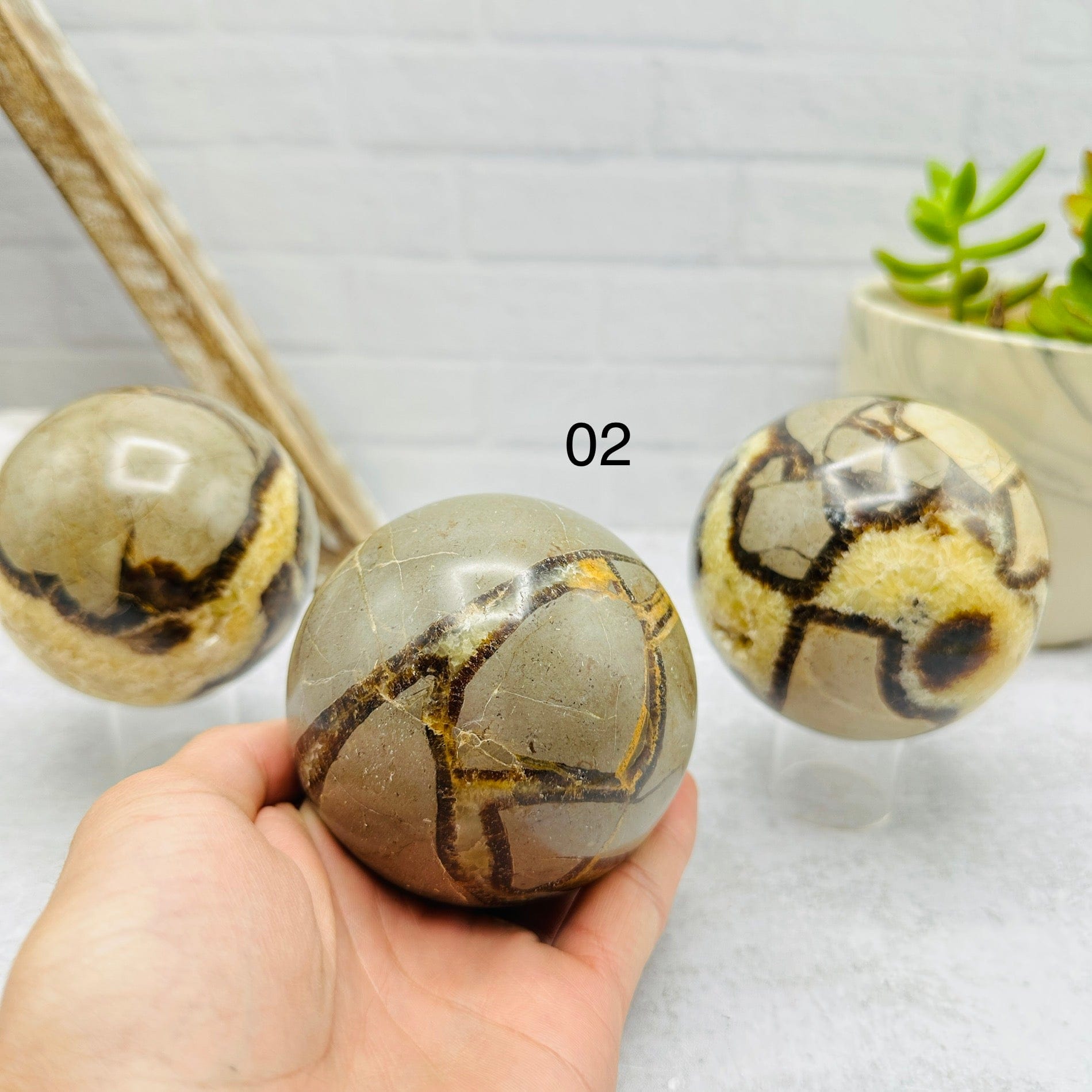 Septarian Sphere - You Choose