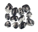 Orthoceras -- Free-form Black Jasper Cabochons (RK36B18-08)